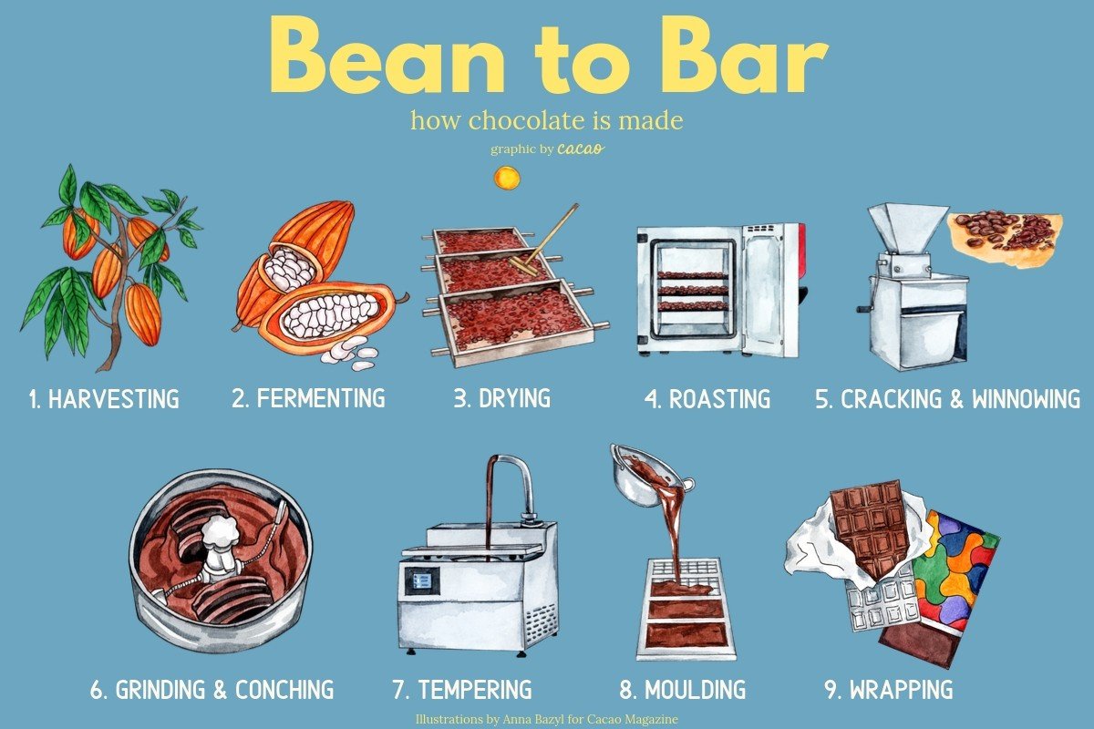 Bean To Bar How Chocolate Is Made Cacao Magazine