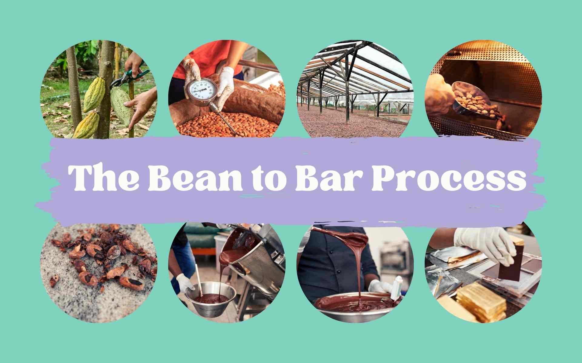 how is chocolate made the bean to bar process