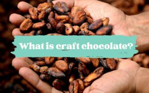 what is craft chocolate