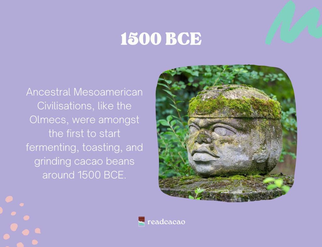 Ancestral Mesoamerican Civilisations, like the Olmecs, were amongst the first to start fermenting, toasting, and grinding cacao beans around 1500 BCE.