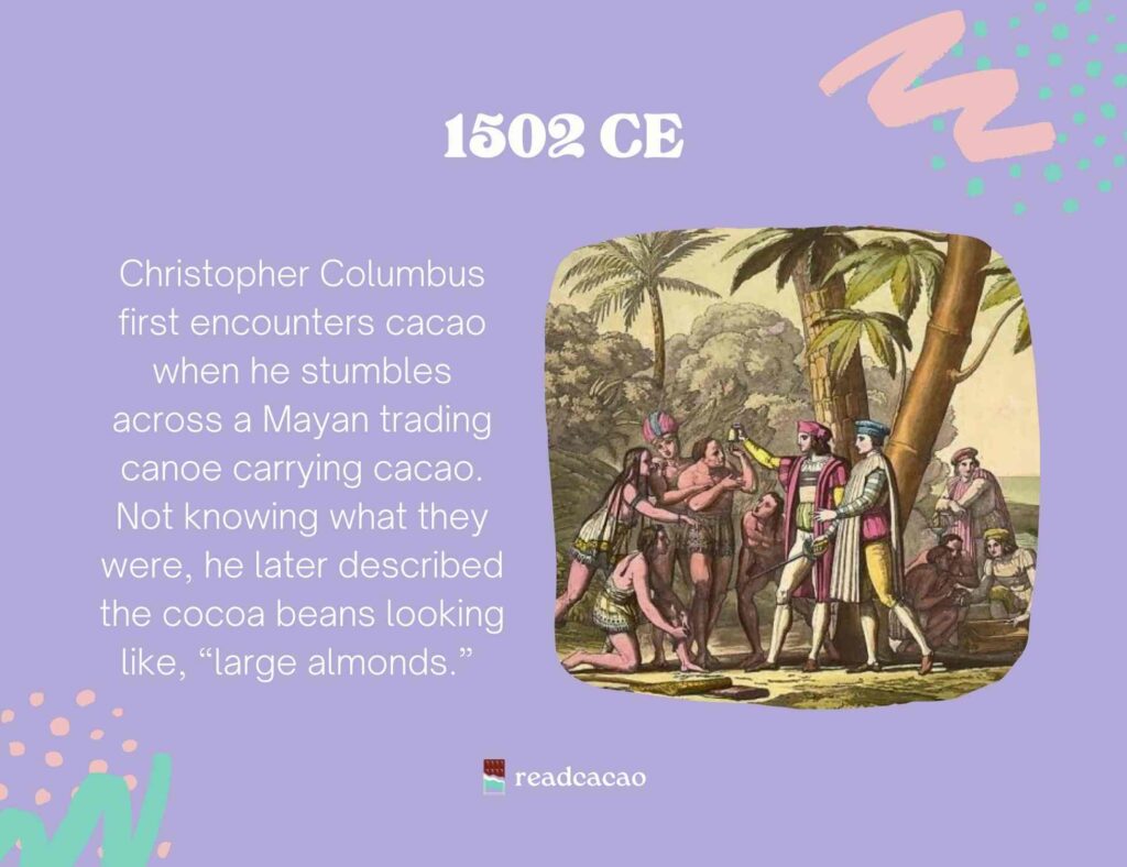 Christopher Columbus first encounters cacao when he stumbles across a Mayan trading canoe carrying cacao. Not knowing what they were, he later described the cocoa beans looking like, “large almonds.” 
