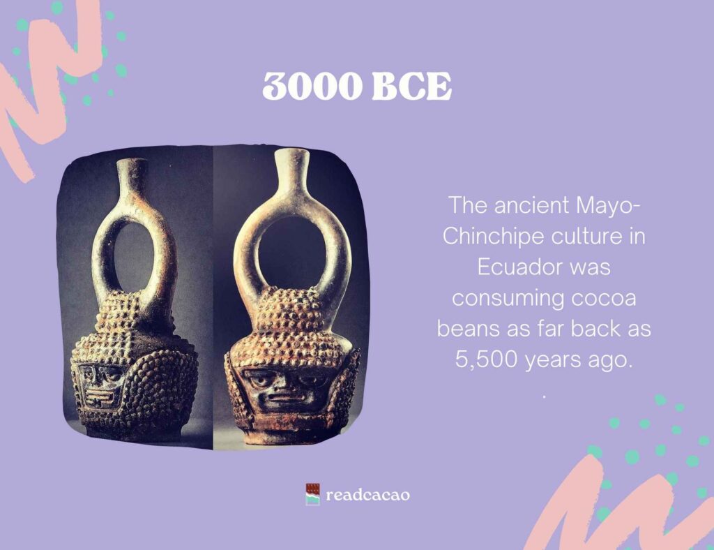 The ancient Mayo-Chinchipe culture in Ecuador was consuming cocoa beans as far back as 5,500 years ago.