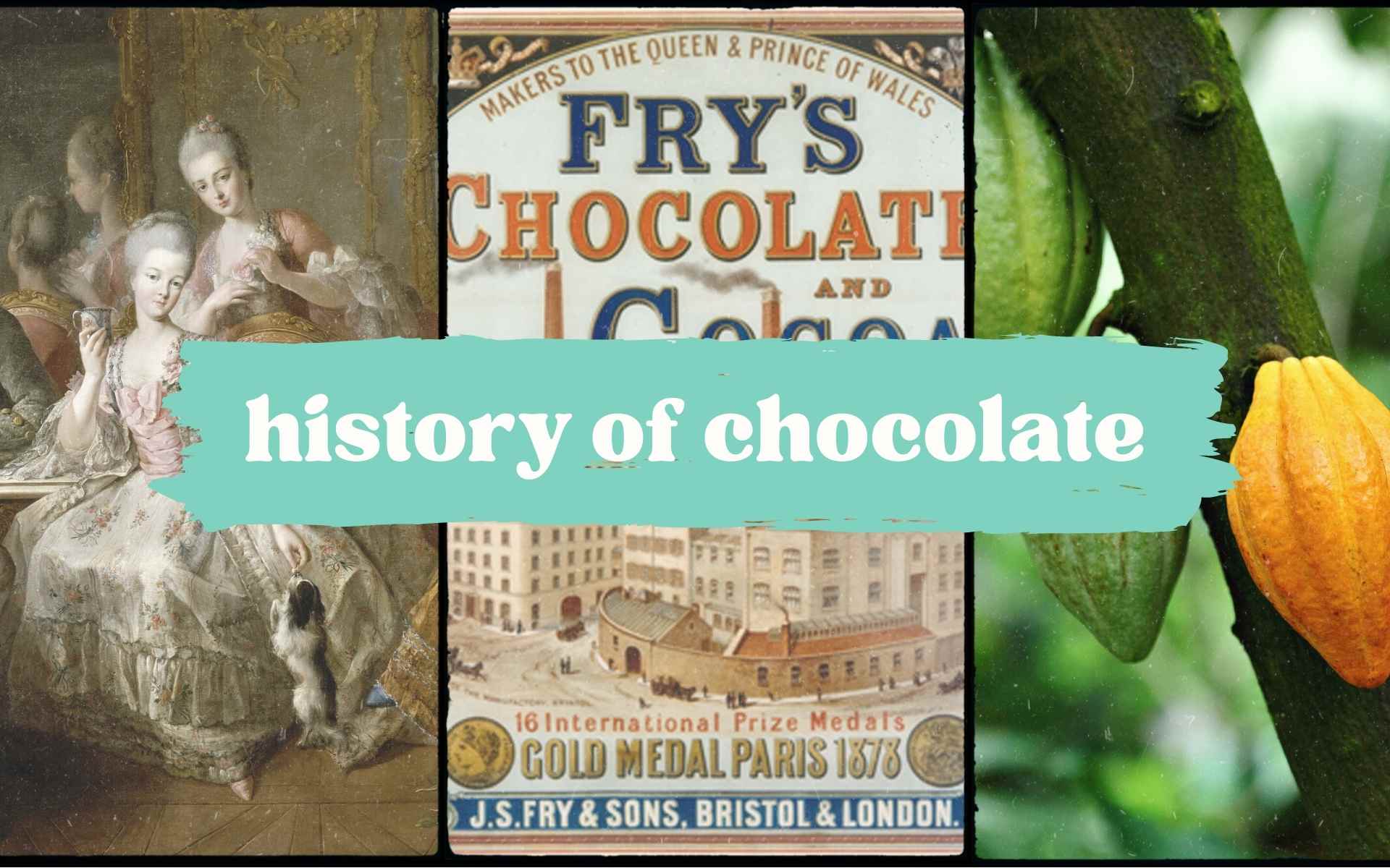 History Of Chocolate Cover Photo 