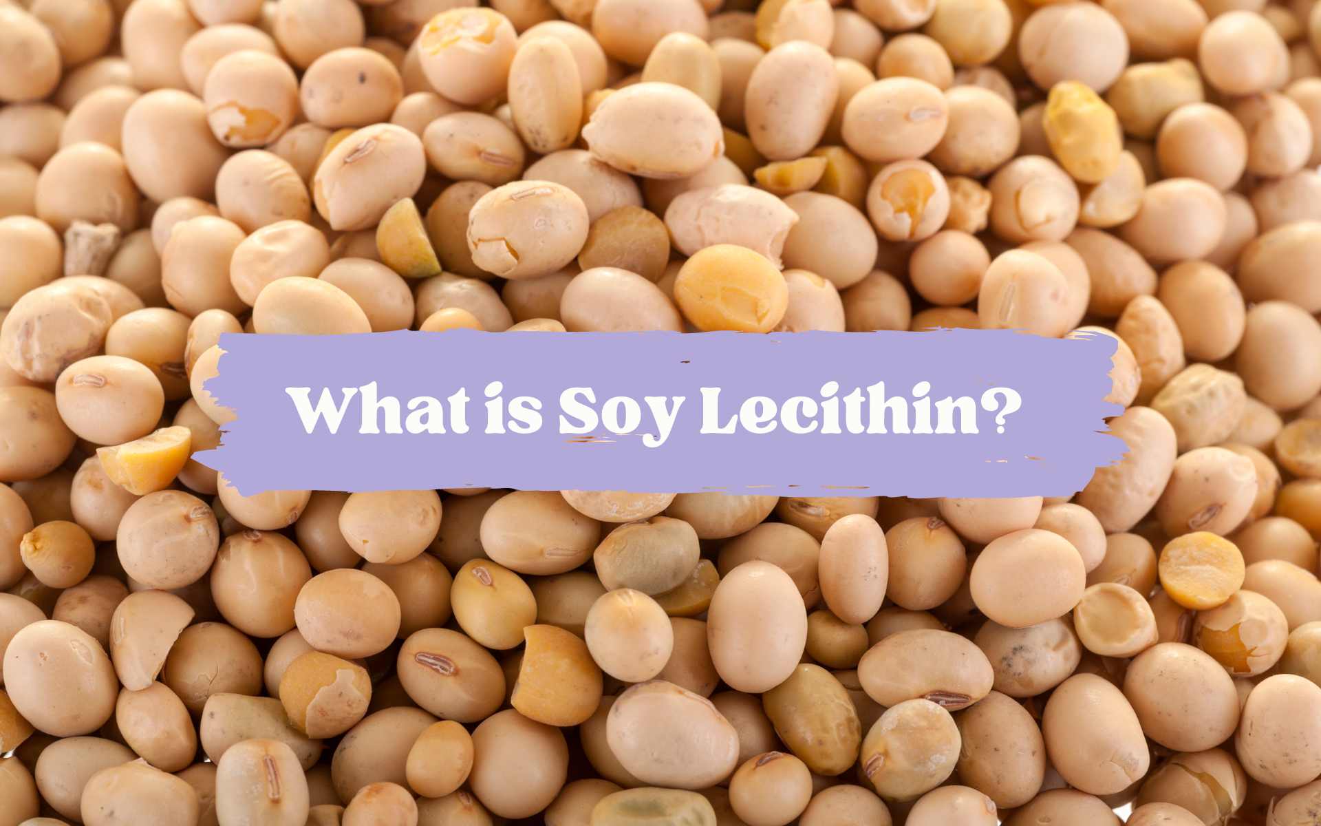 What is Soy Lecithin and Why is it Used in Chocolate? - ReadCacao